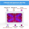 600W Grow Light Red Blue Lighting